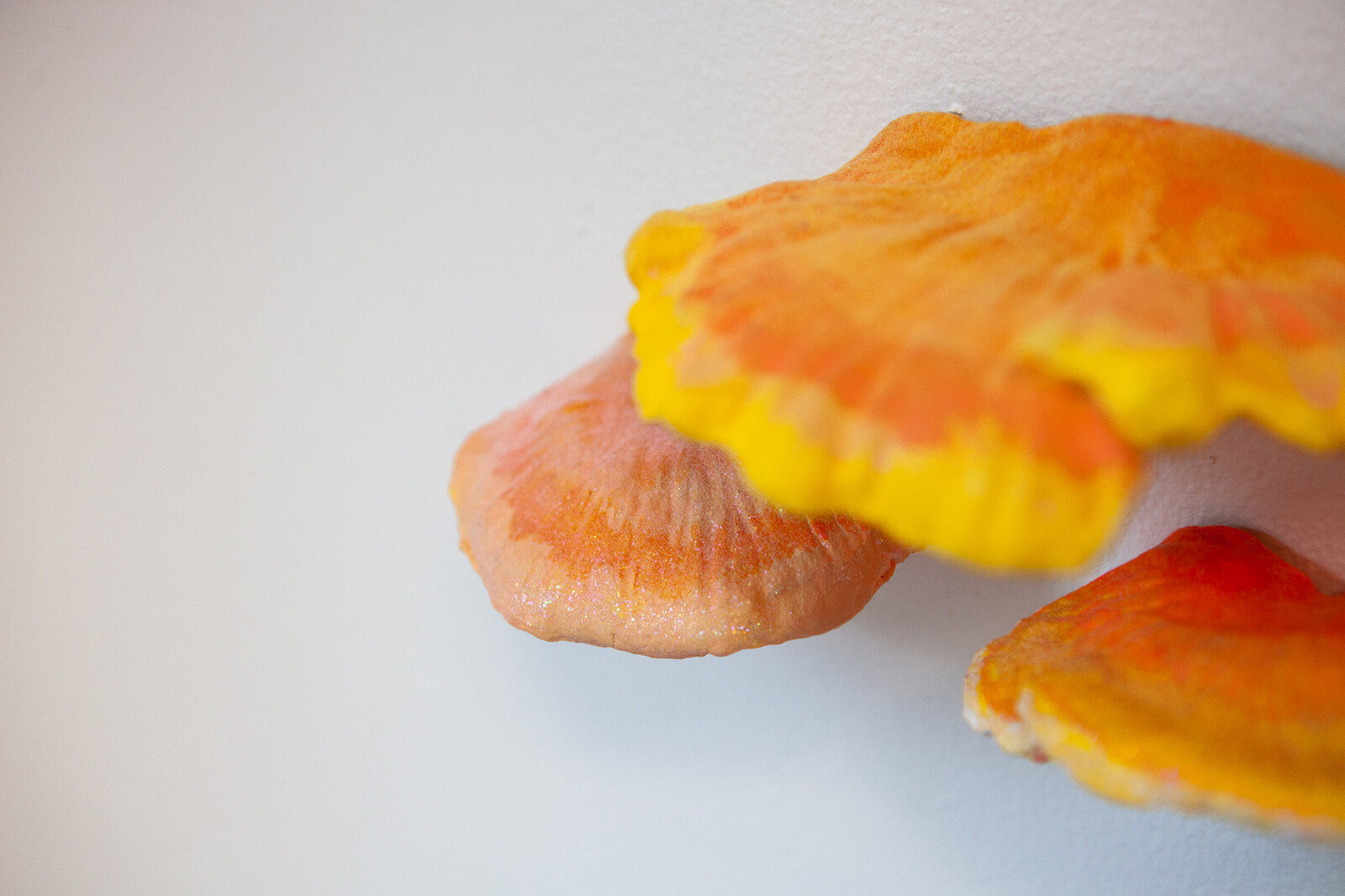 Fluorescent Fruited Fungal Bodies (Cluster 6)