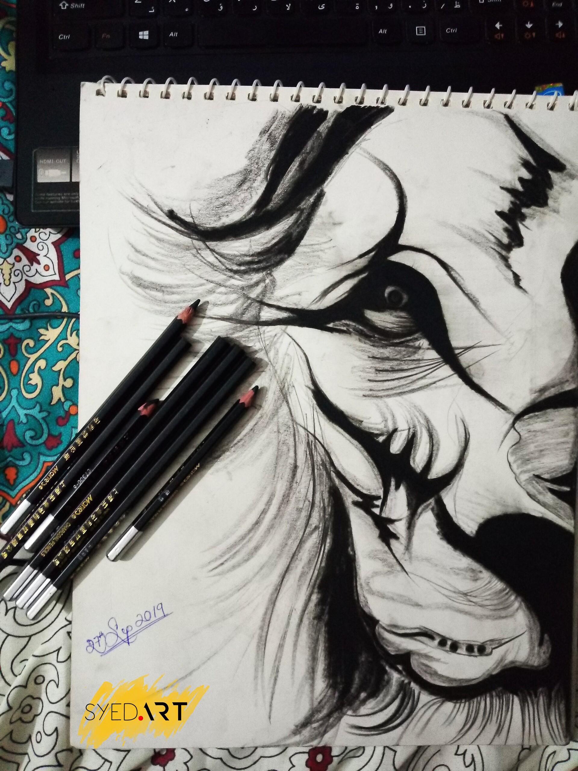 Charcoal Art Drawing by Syed Rooh-U-llah - Pixels