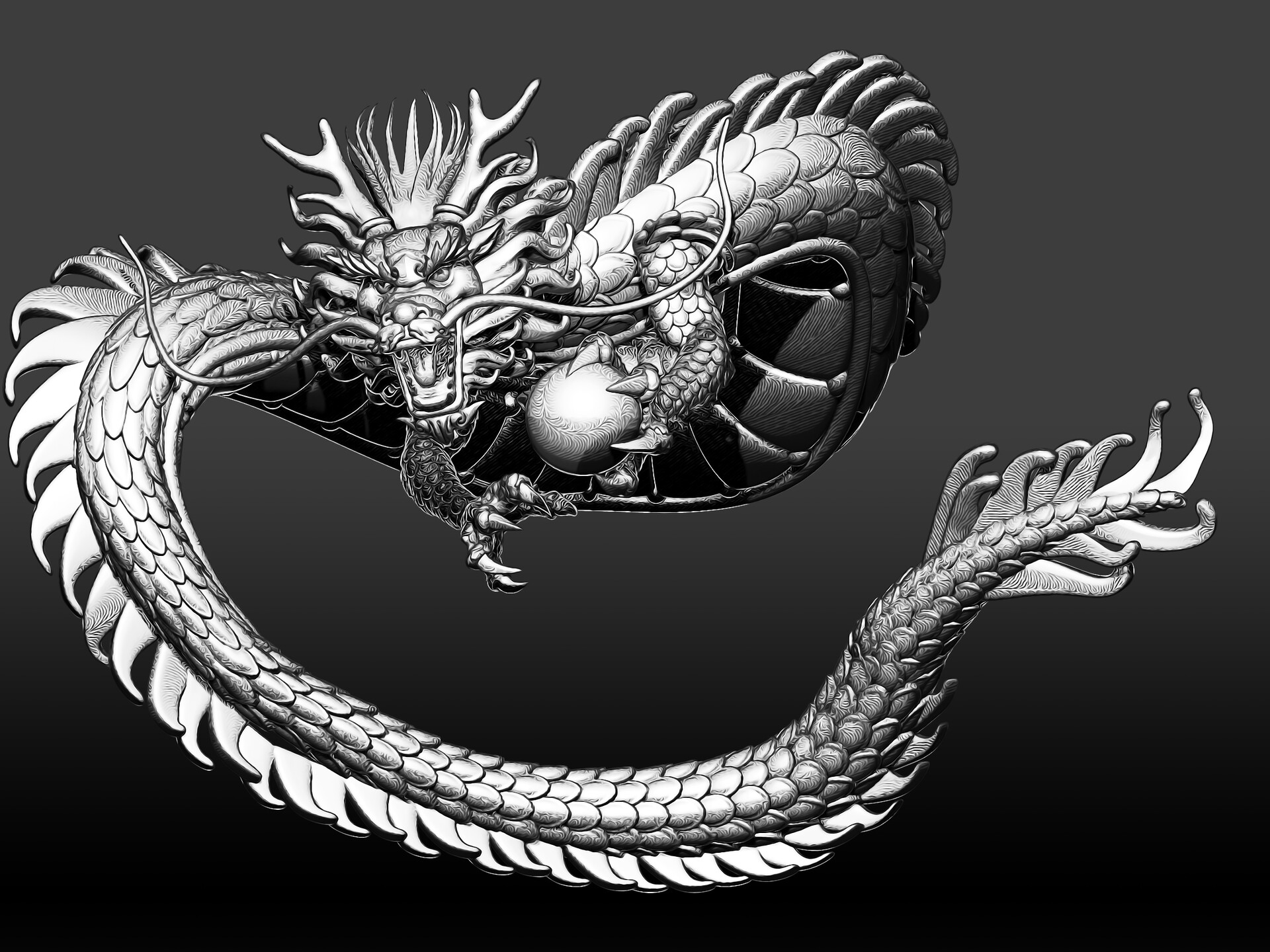 Дракон оформление. Дракон Zbrush. Китайский дракон. Китайский дракон анатомия. Китайский дракон арт.