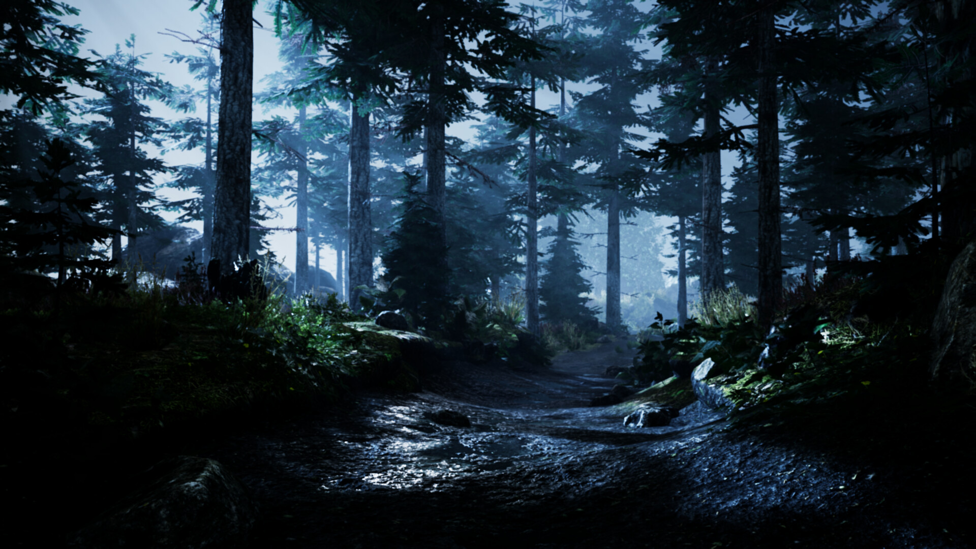 Artstation Night Forest Sidney Giormani Artstation Night Forest Sidney Giormani