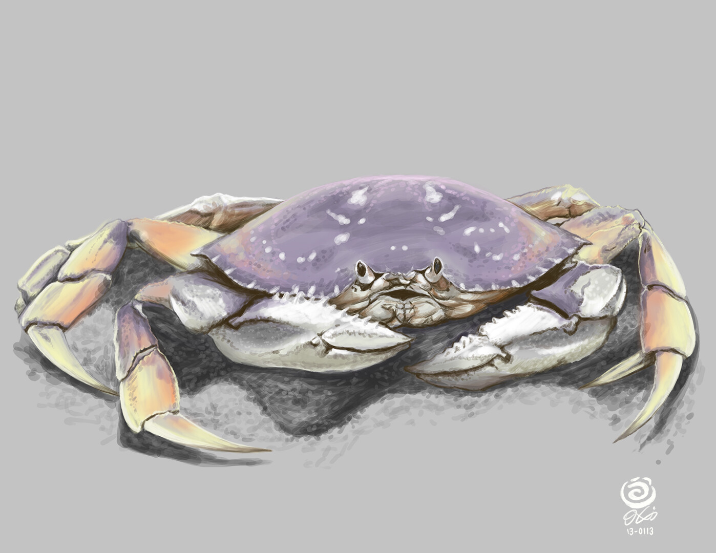 Crab
Digital Painting