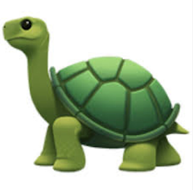 Miles Dulay - Turtle Emoji