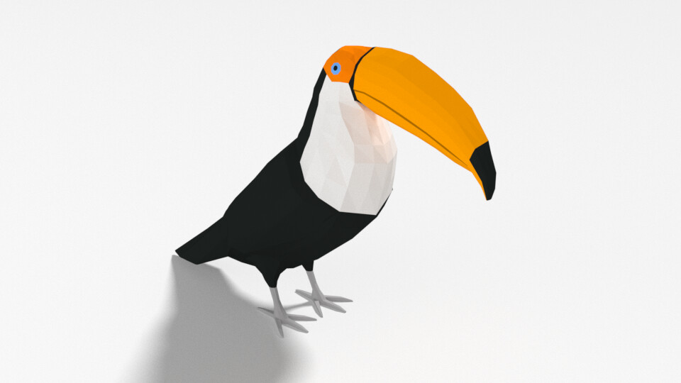 toucan camera troubleshooting