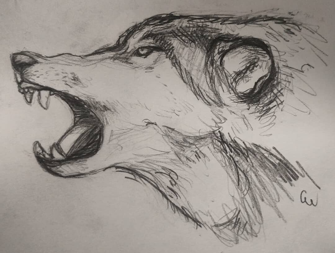 ArtStation - Snarl
