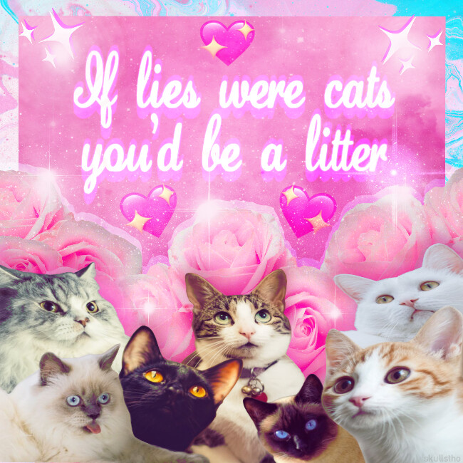 Skullstho Call Me Skulls If Lies Were Cats You D Be A Little