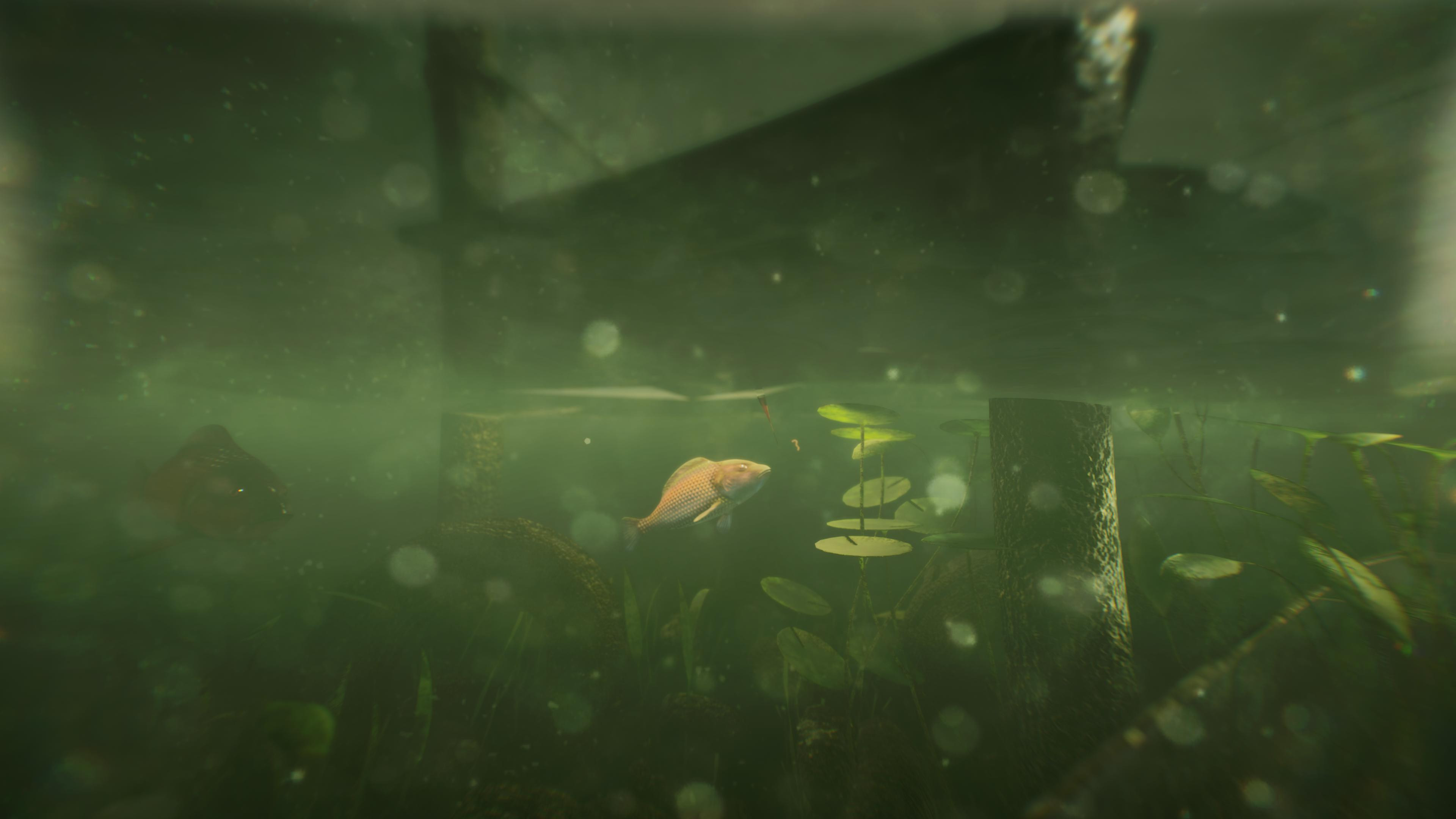 5. Under the Boardwalk, model by Serguei Kalentchouk