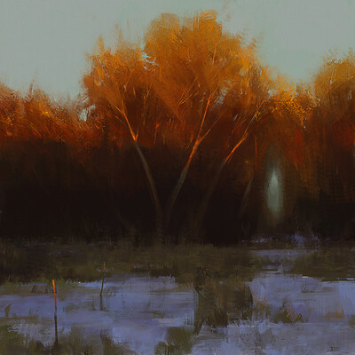 Rostyslav zagornov sketch color