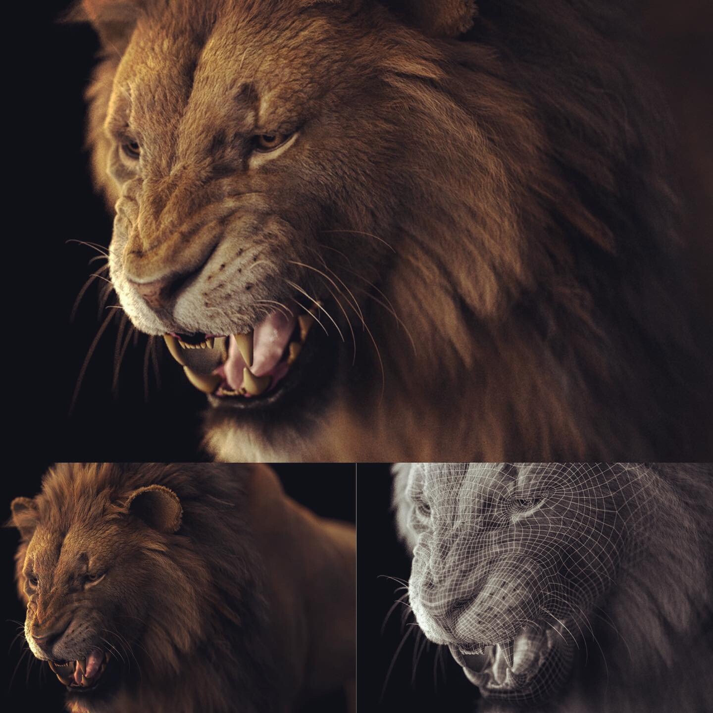 Lion Rig (straight-forward output)