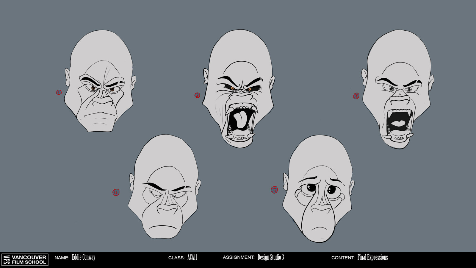 expression sheet