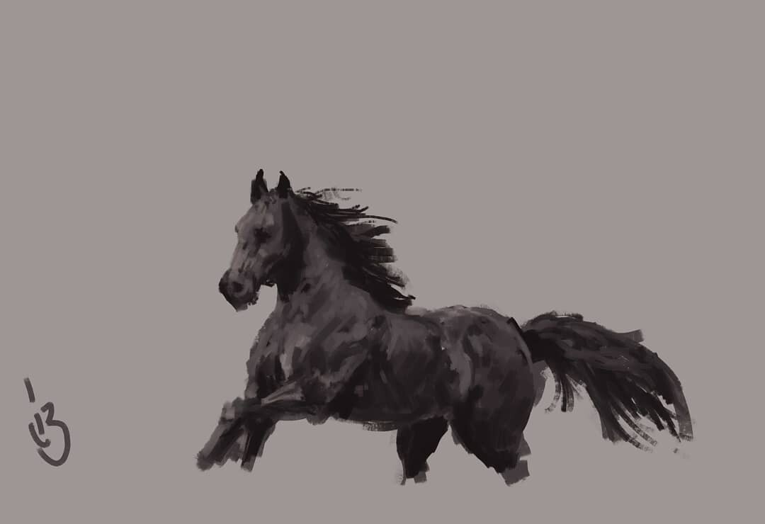 20 minutes sketch of a horse