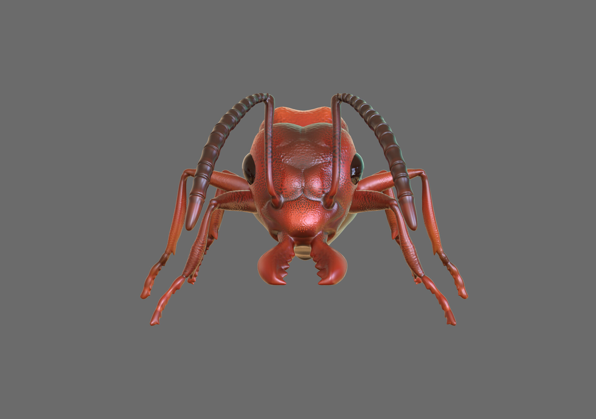 Agastin Brando Ant 3d Model