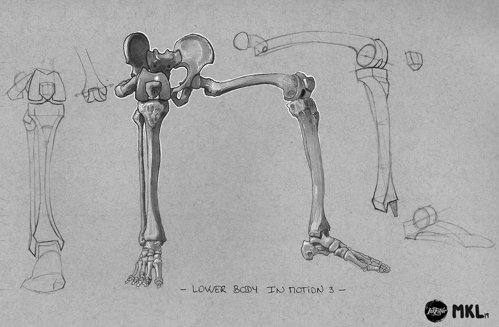 Anatom'Inktober day 14 : Lower body sitting
