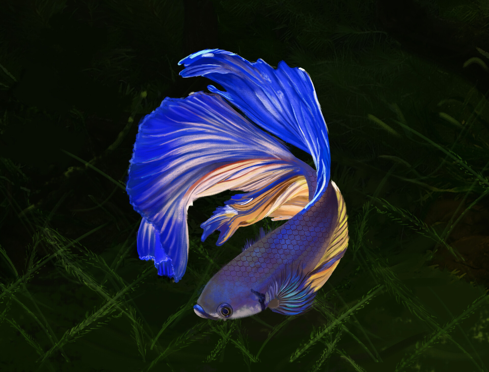 ArtStation - Fish Drawing