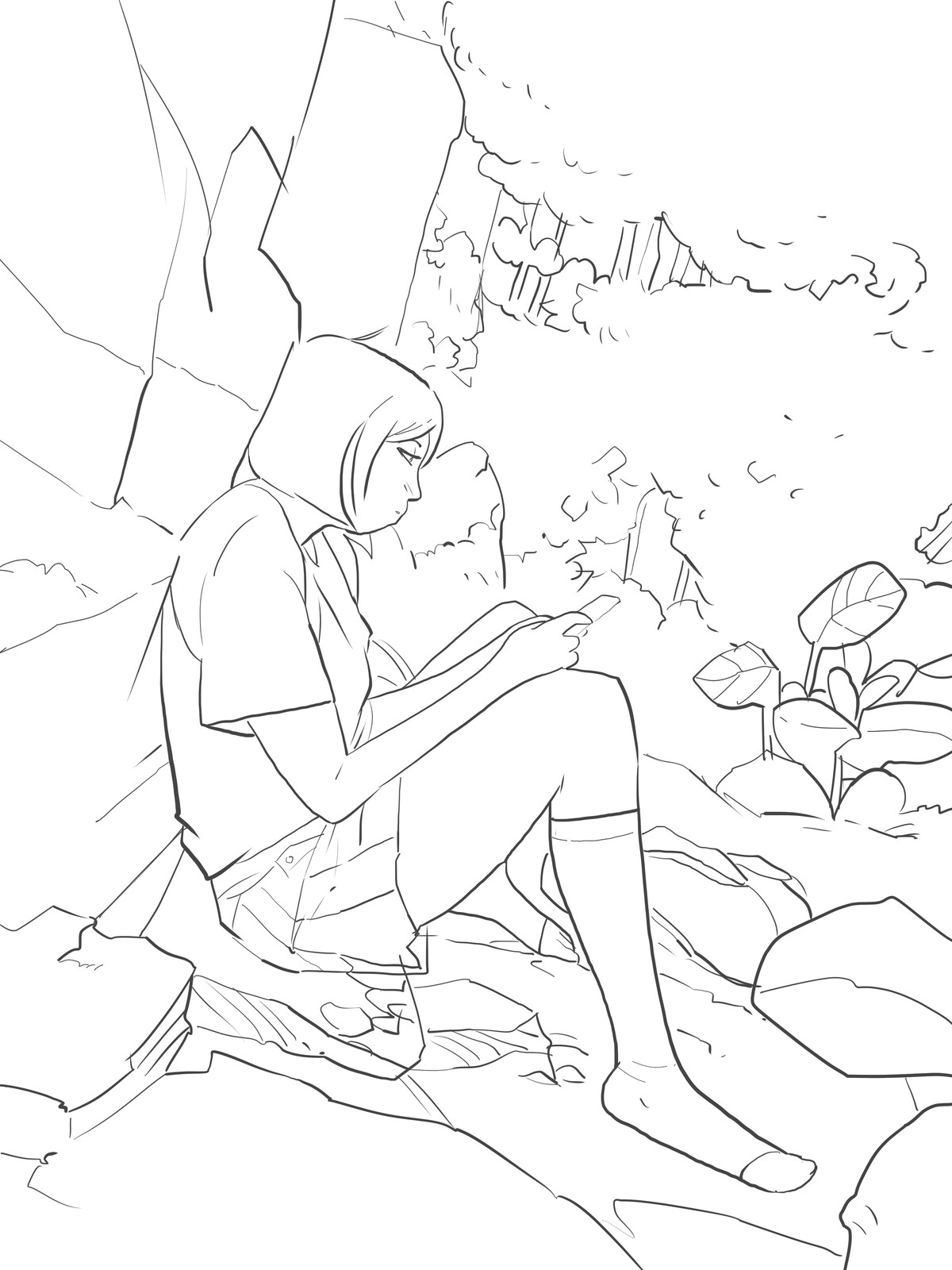 Sketch