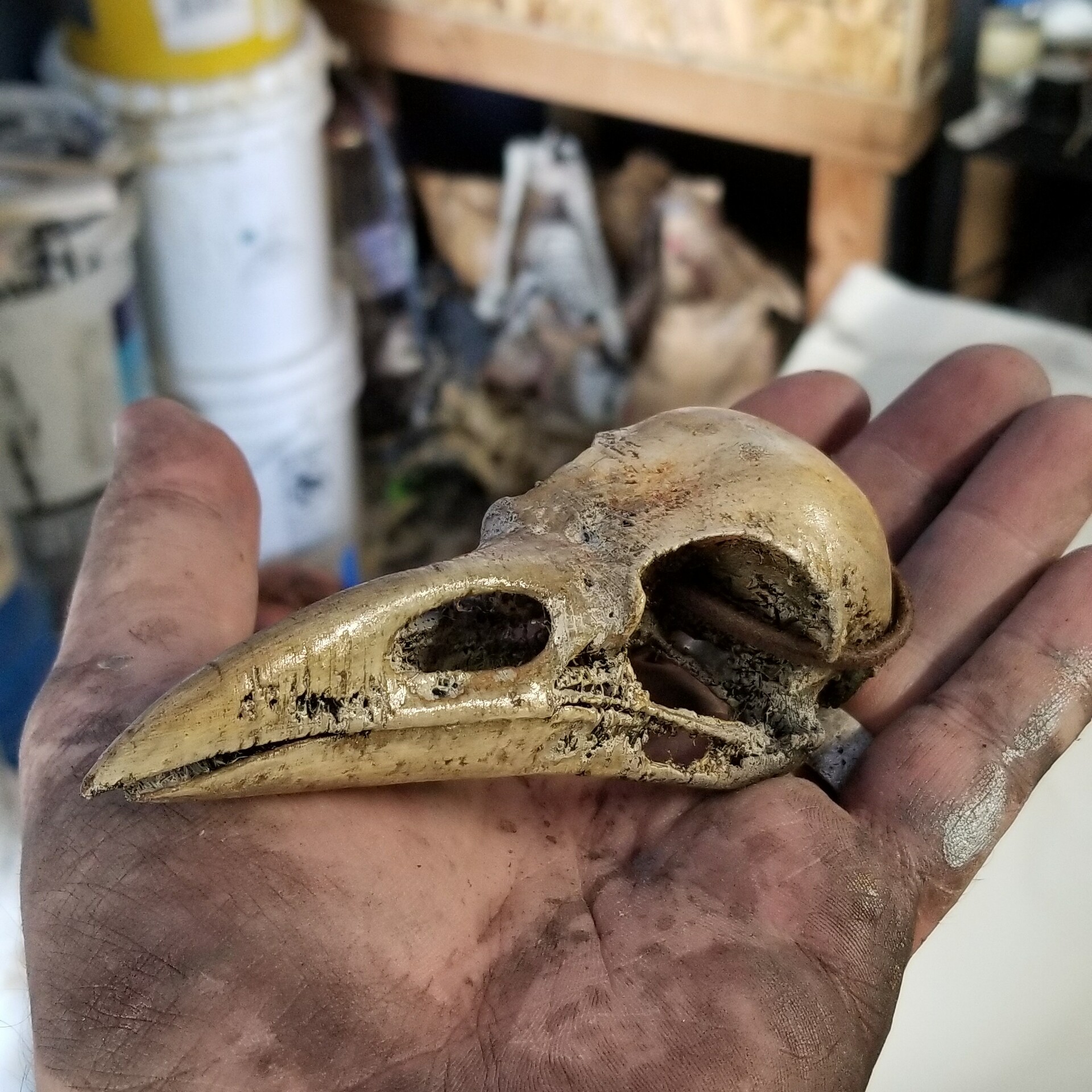 Artstation 3d Printed Raven Skull Necklaces Shawn Darling