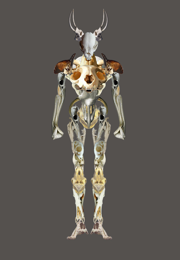 ArtStation - skull puzzele