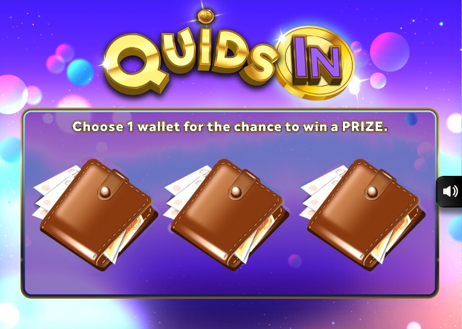 Quids in Bonus Game