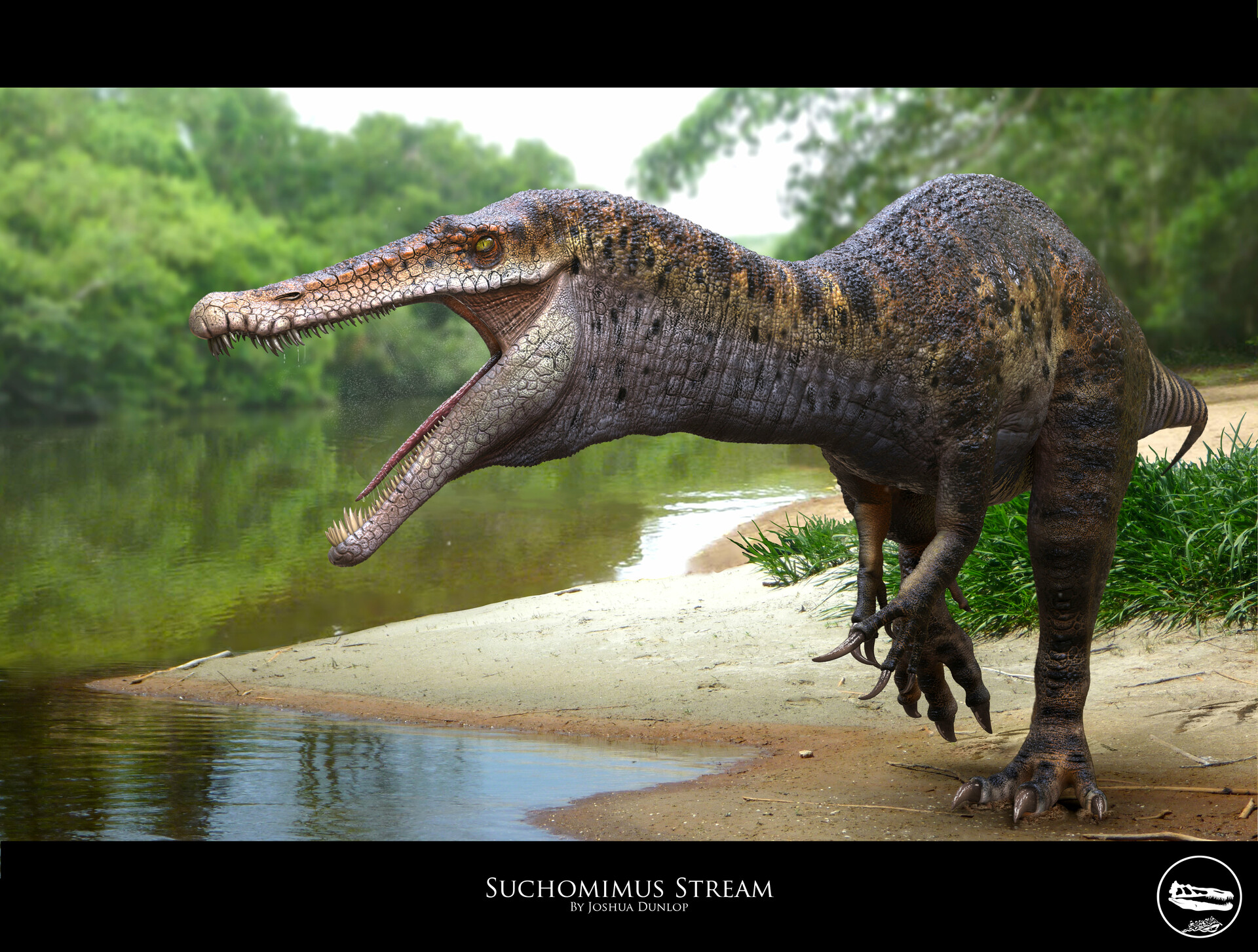 suchomimus accurate