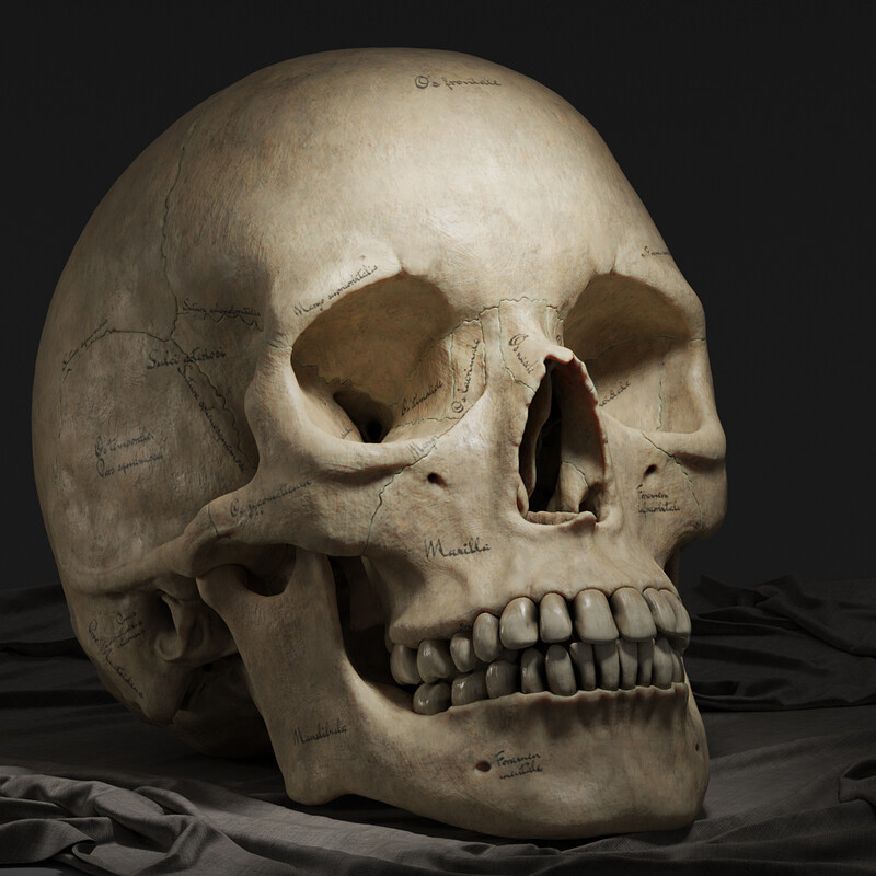 Skull 2.0