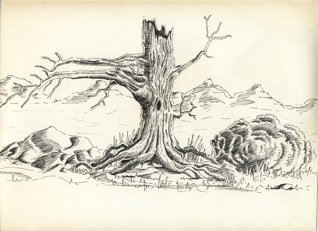 dying tree drawing