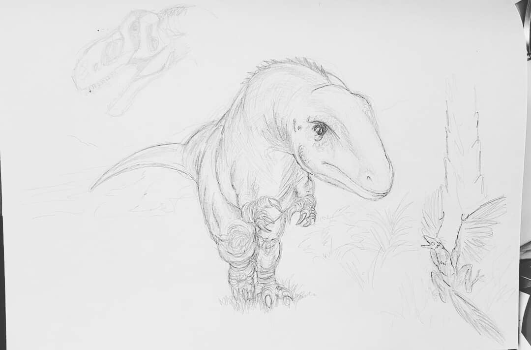 Allosaurus finished sketch