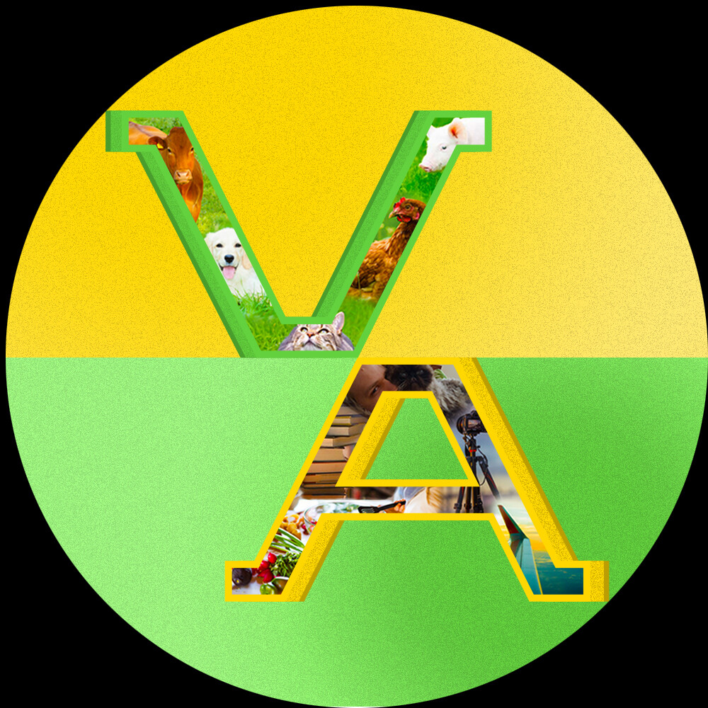 The final iteration of Aeowen's Mind's personalized icon