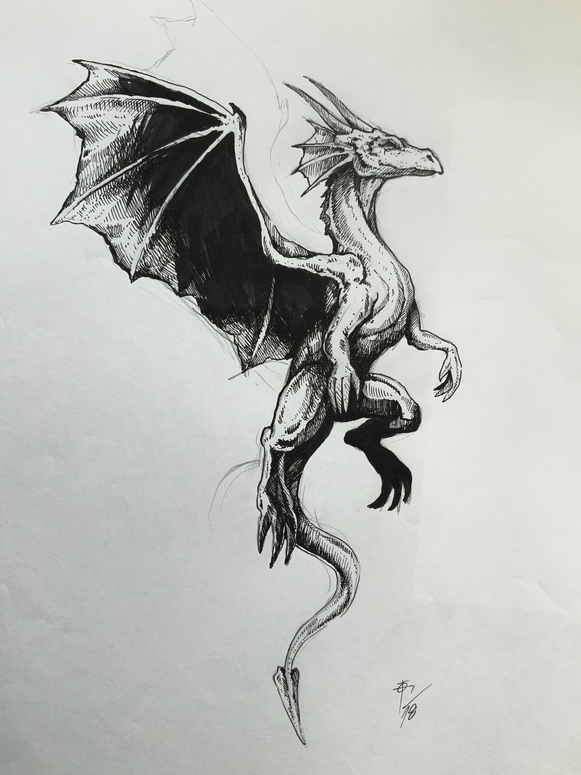 Dragon Head Sketch Images – Browse 6,735 Stock Photos, Vectors, and Video |  Adobe Stock