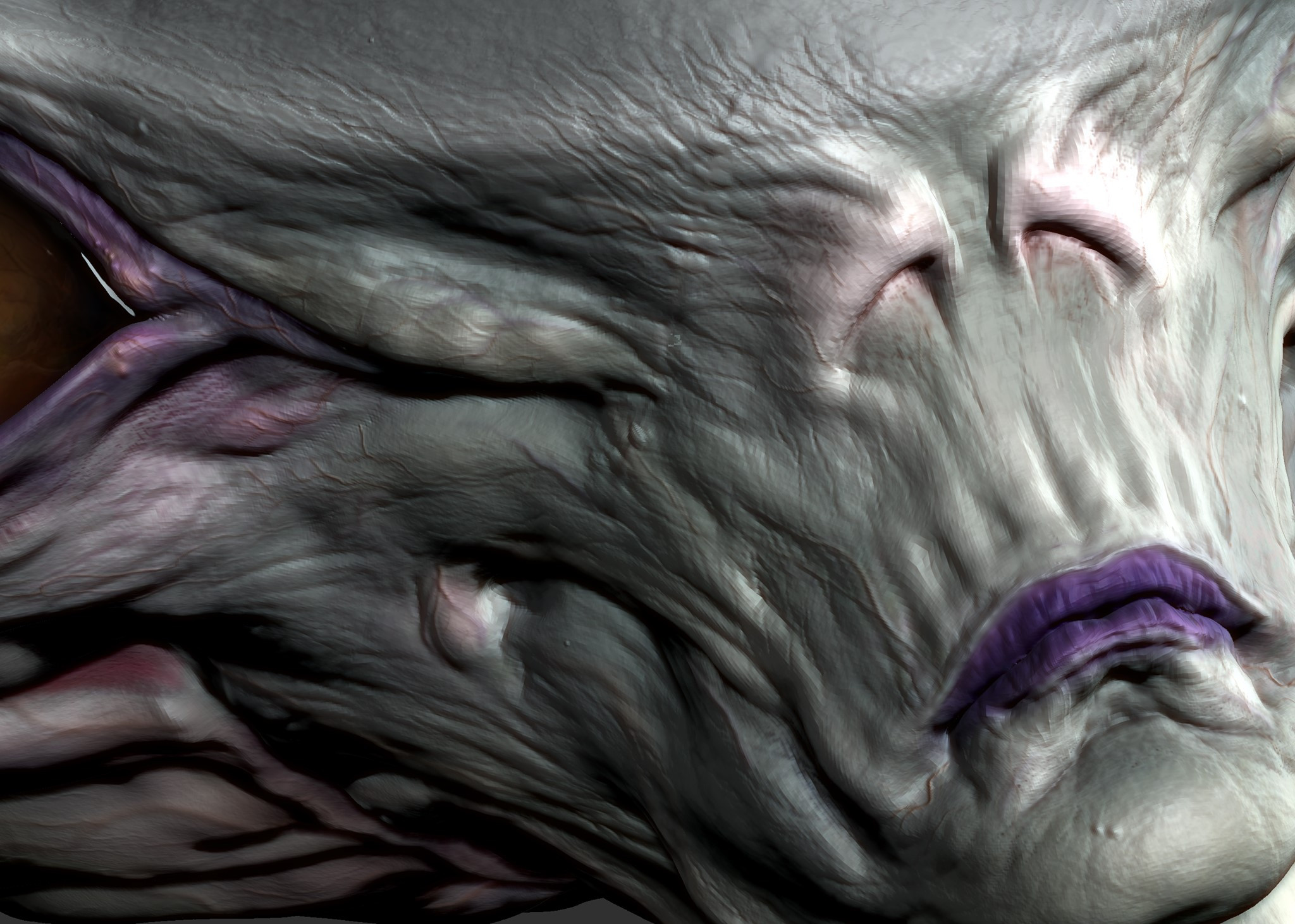 Crop of the Zbrush viewport from the tertiary stage. 