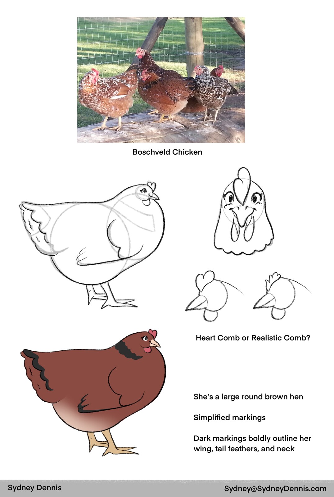 Final Concept Page for a chicken mascot.  We chose a Boschveld chicken because it is a mix of multiple hearty South African breeds.  It is both large, strong against disease, and a great egg producer.