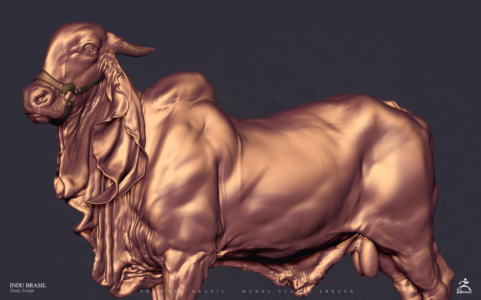 Artstation Indu Brasil Cocoa Toto Dost Artstation Indu Brasil Cocoa Toto Dost