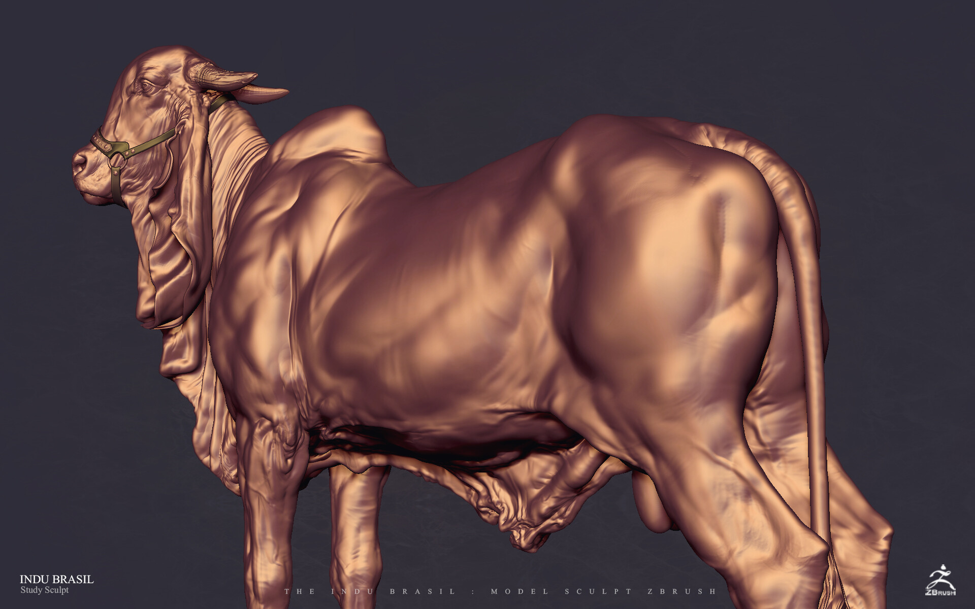 Artstation Indu Brasil Cocoa Toto Dost Artstation Indu Brasil Cocoa Toto Dost