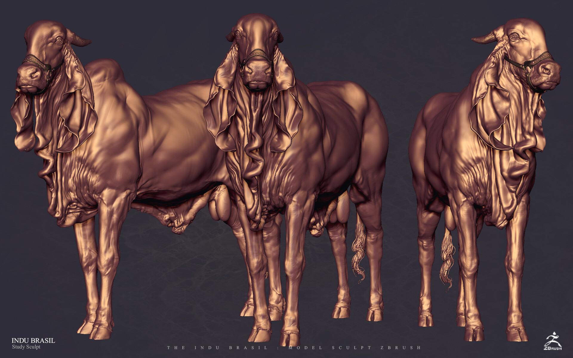 Artstation Indu Brasil Cocoa Toto Dost Artstation Indu Brasil Cocoa Toto Dost