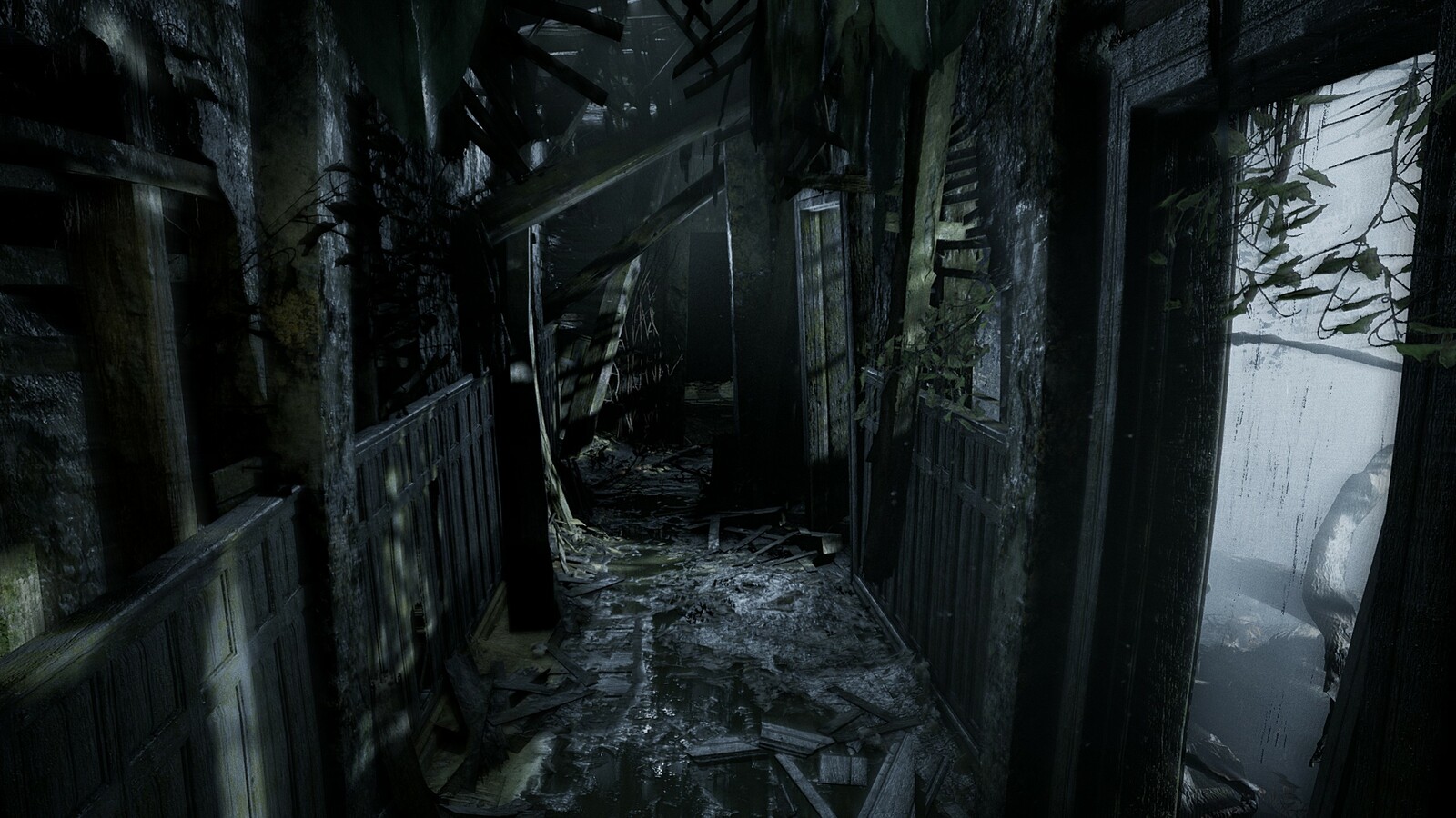 Blair witch картинки