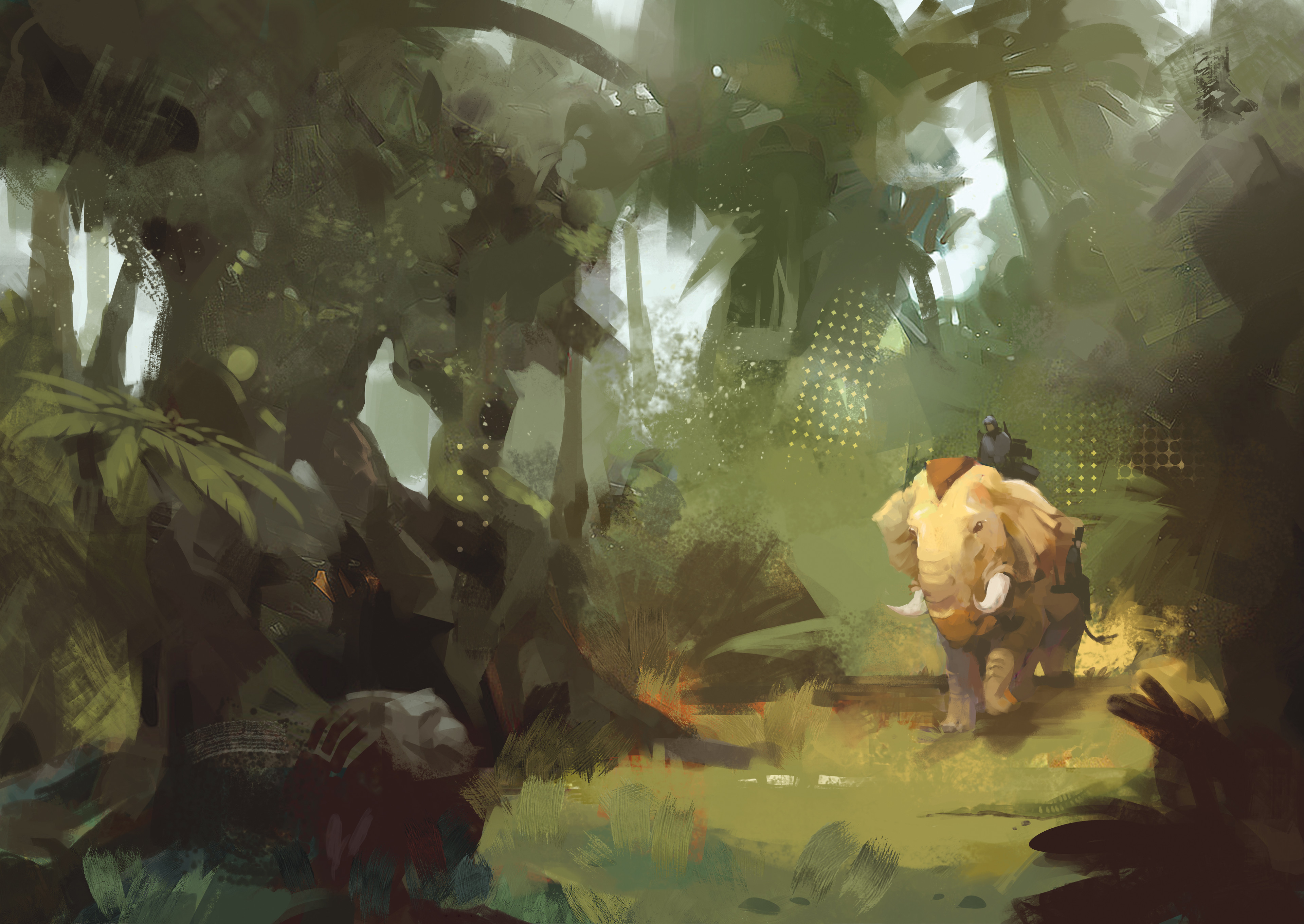 Passing through India jungle