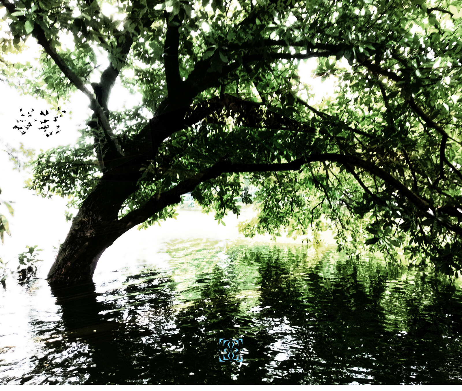 Dhaka_Green Reflection
