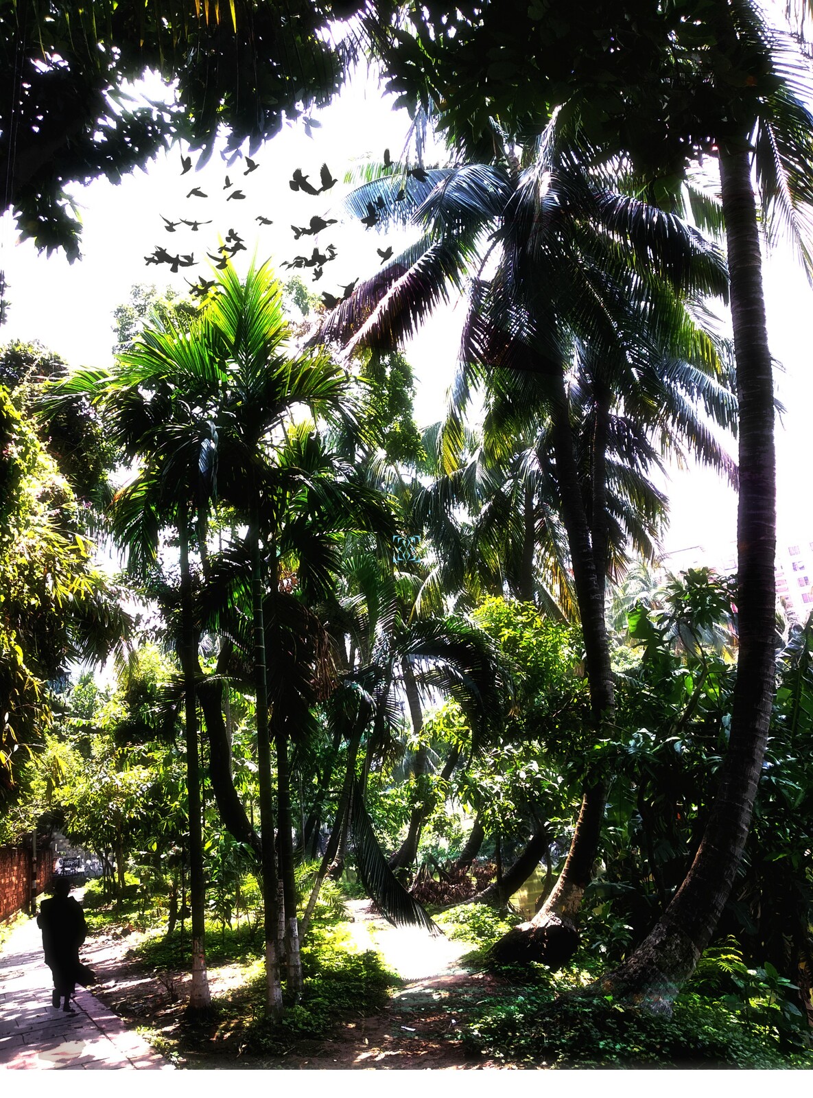 Dhaka_Savage Garden