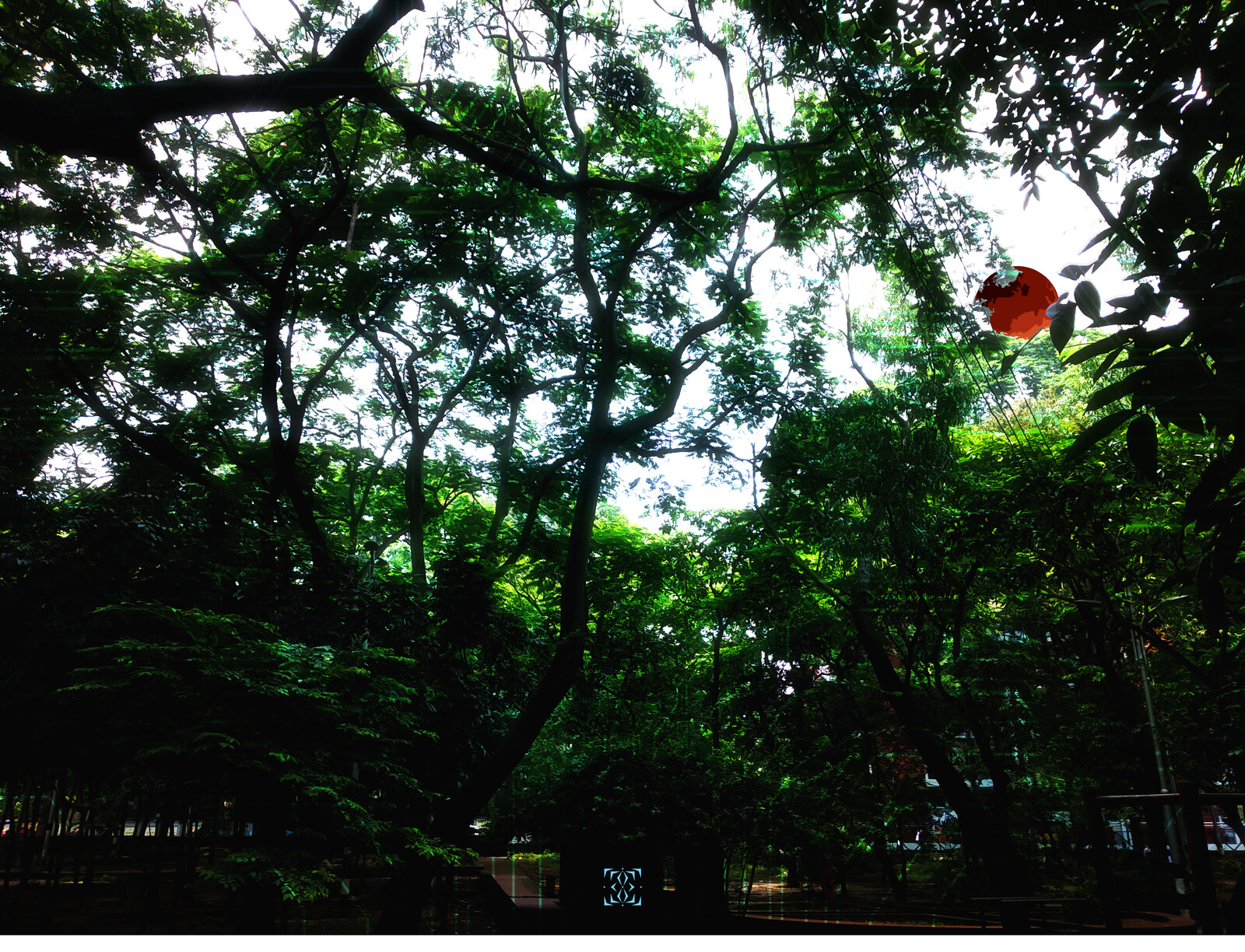 Dhaka_Urban Garden_02