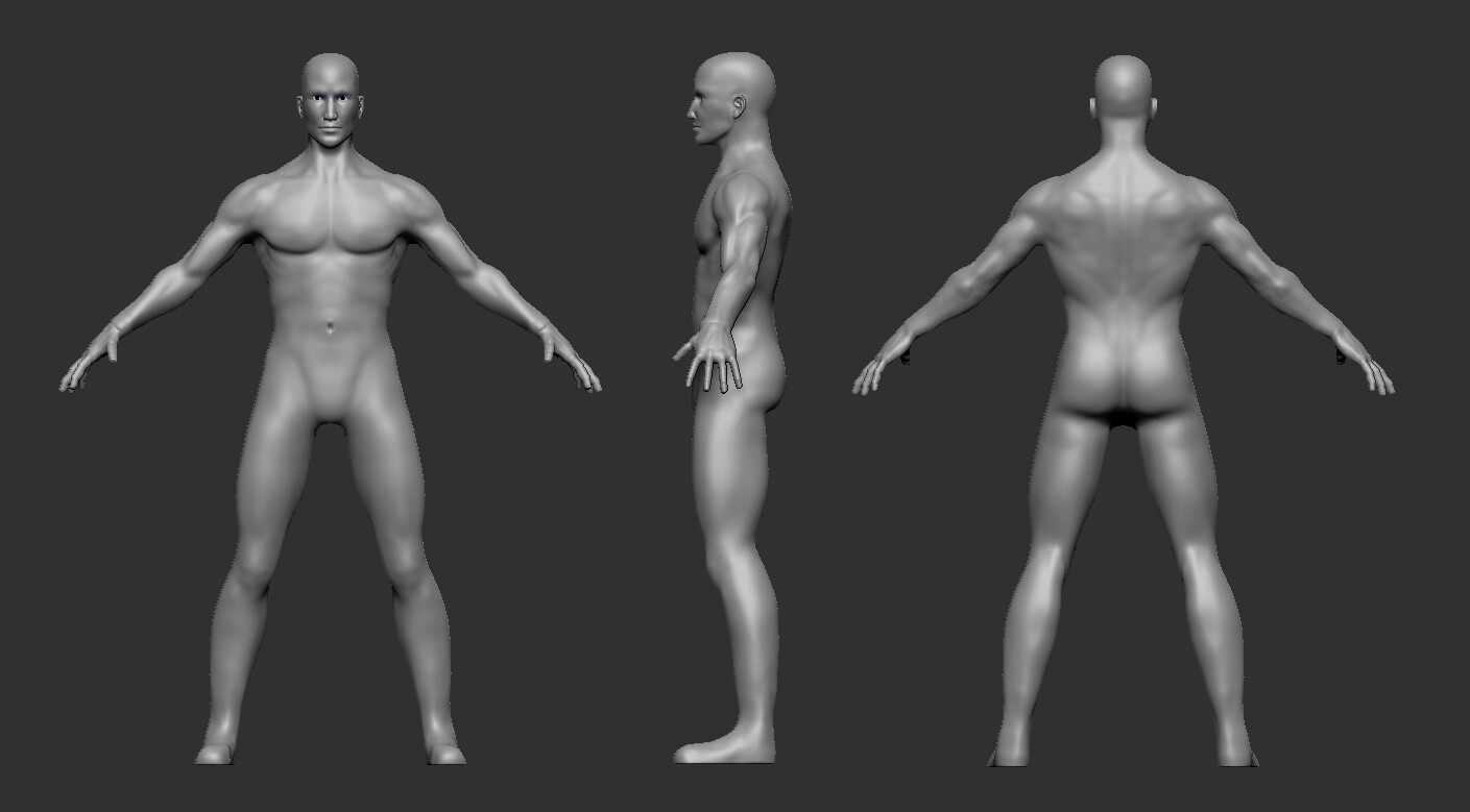 Base Anatomy