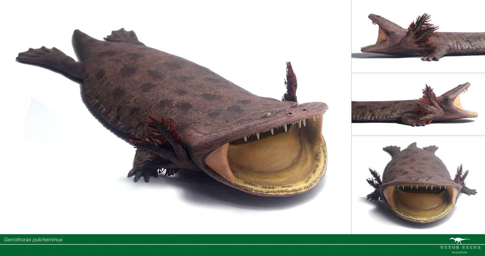 Bonus: "Retro" version with external gills (detachable pieces). Nowadays we know Gerrothorax had internal gills, but the "axolotl like" look was a common concept. The model has the option to be displayed in either classical or modern versions.