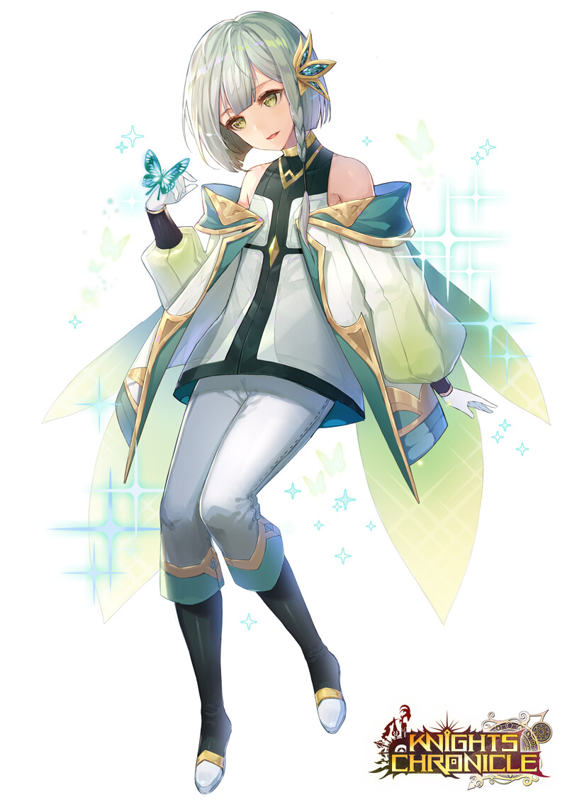 Knights chronicle Knights chronicle