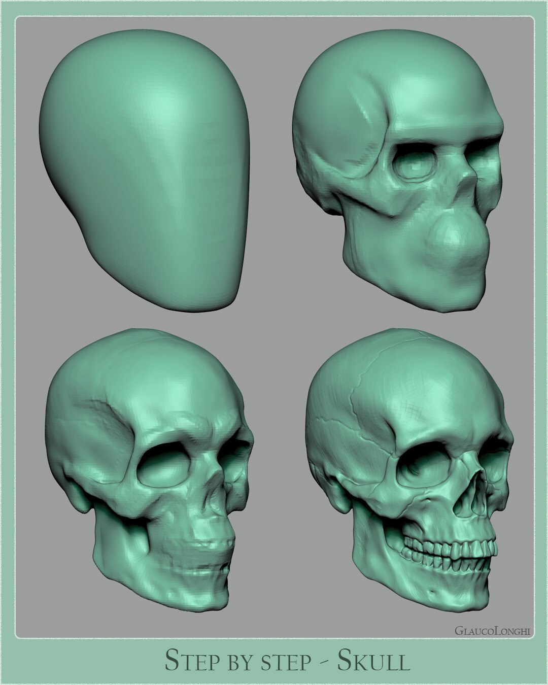 Glauco Longhi Anatomy