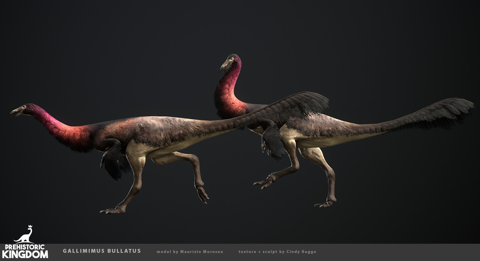 dinosaur train gallimimus