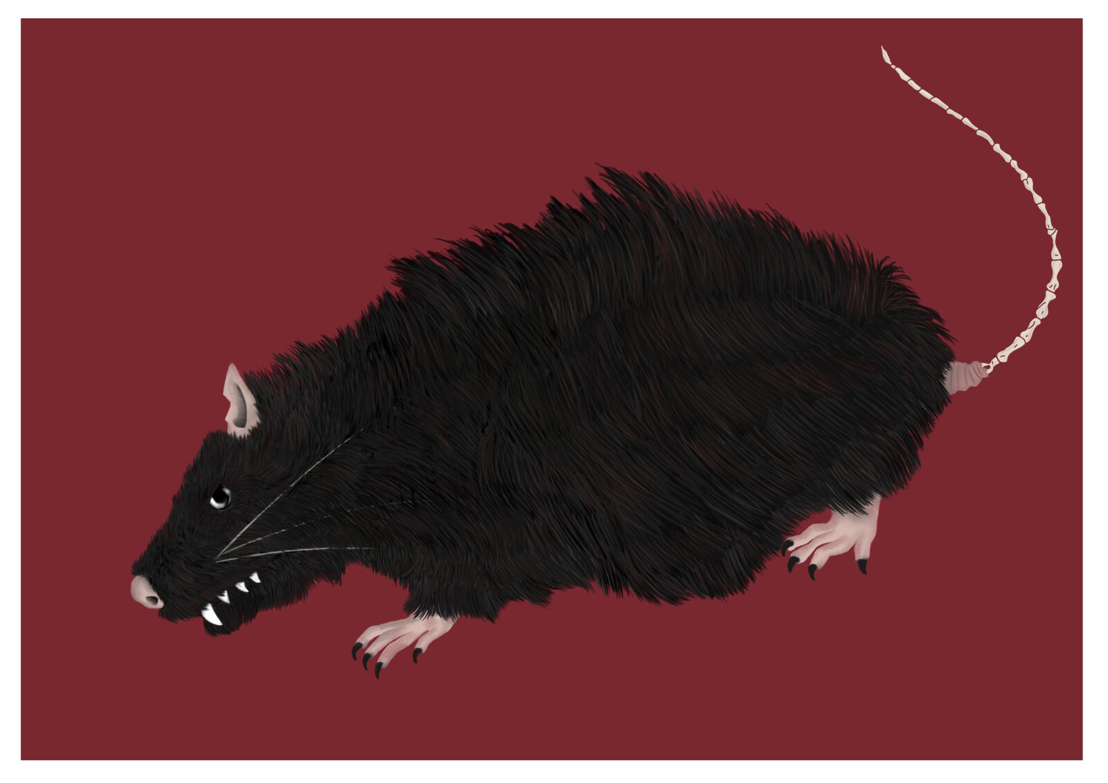 Final rat design, as decided by team