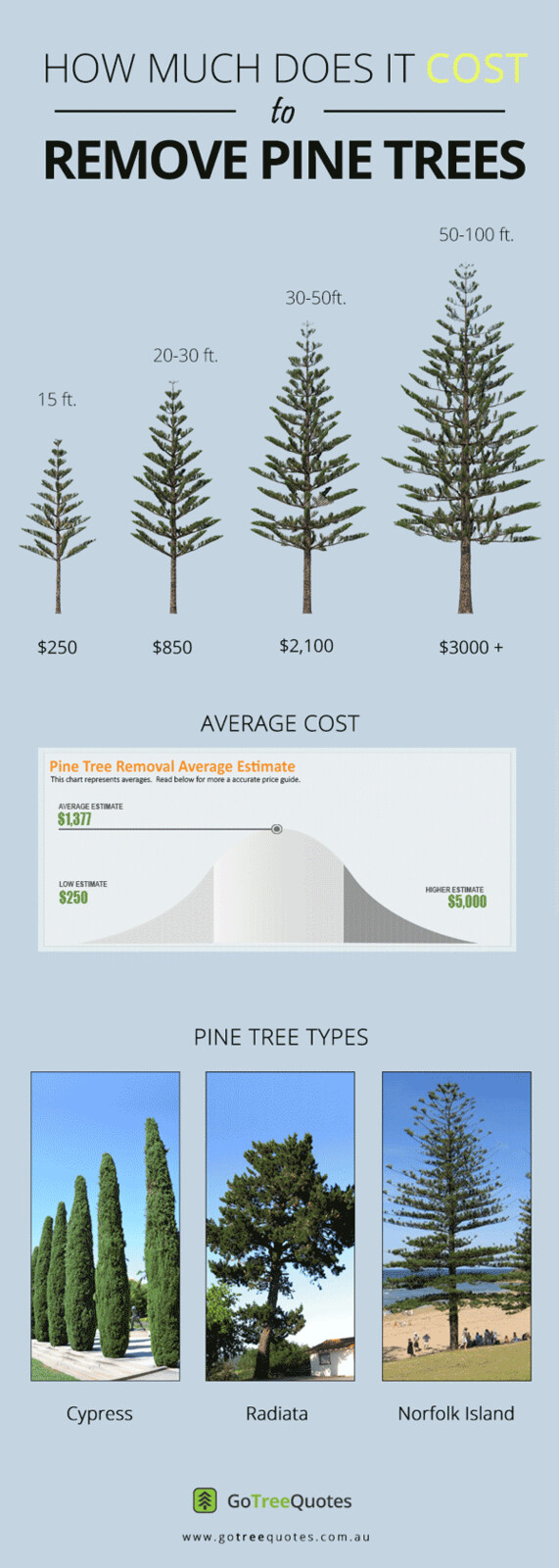 Ben mcinerney pine tree removal cost guide