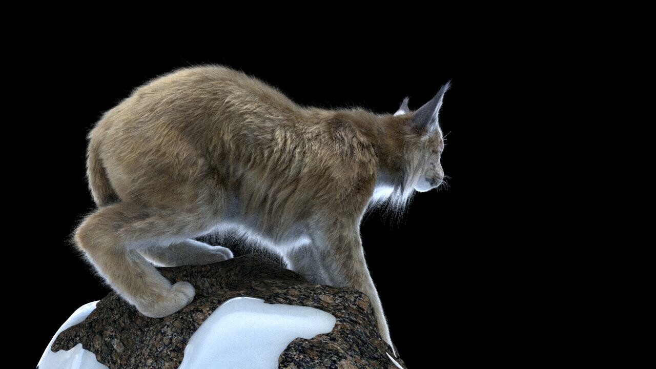 Boreal lynx hot sale
