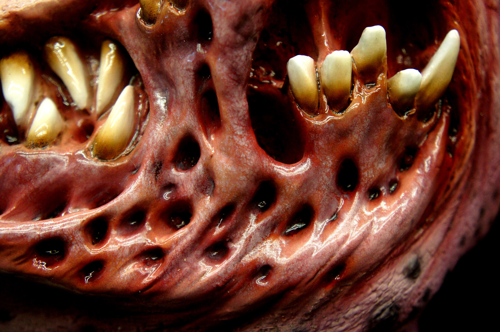 H.P. Lovecraft Tormented Renewal Life-Size Wall Hanger