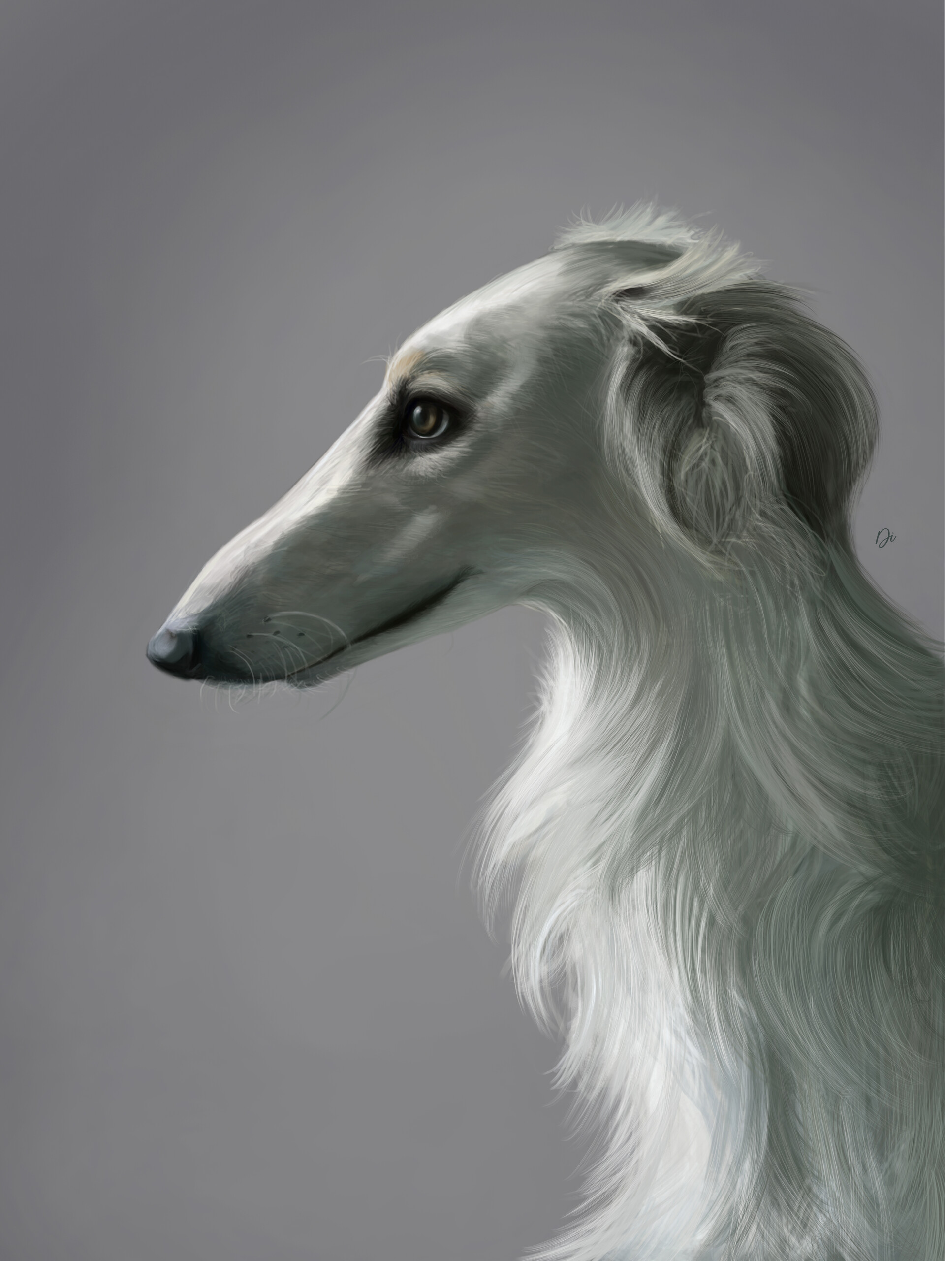 Diana Zaitseva Russian greyhound