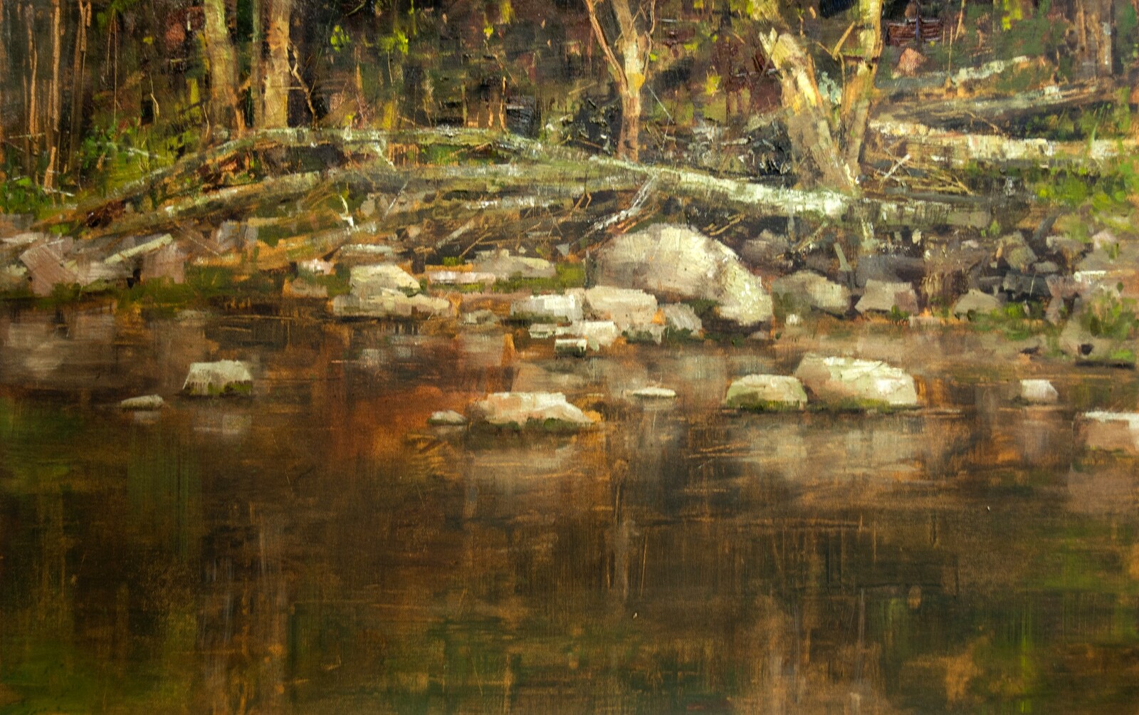 Creeks, Rocks, and Branches