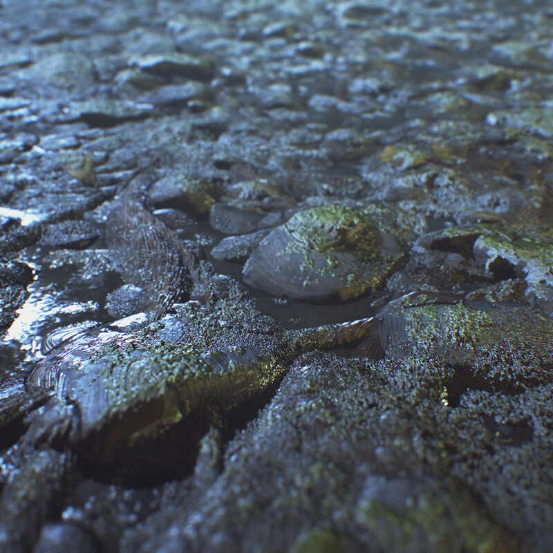 River Bed
