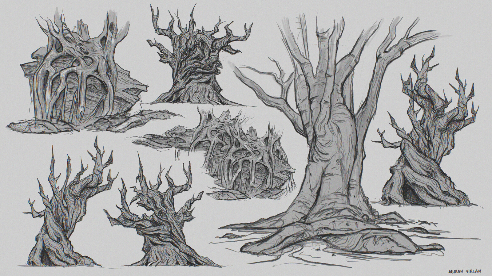 Essence trees exploration sketches